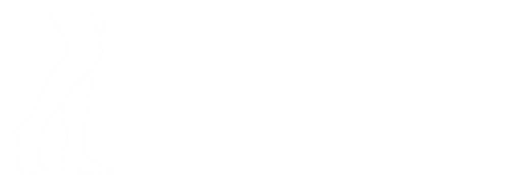 Logo Zdrowe Nogi Chirurg Naczyniowy Opole Nysa Jacek Polewiak